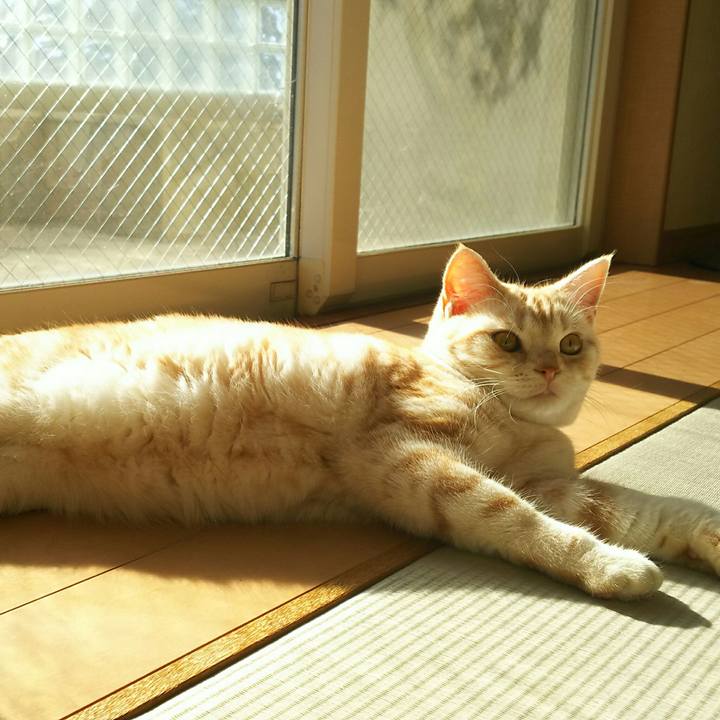 3fd832f9 fa72 447d 9ab3 1d831554f247