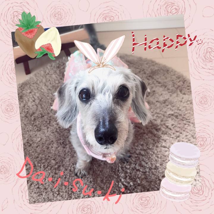 3fd840a7 23e4 444d b54b c0adac168cc4