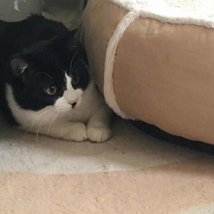 3fd8b945 d437 4df4 8590 722ae4dbb594