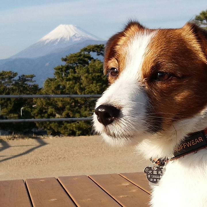 3fd8c35f bebf 483f 9386 8c159269ccfa