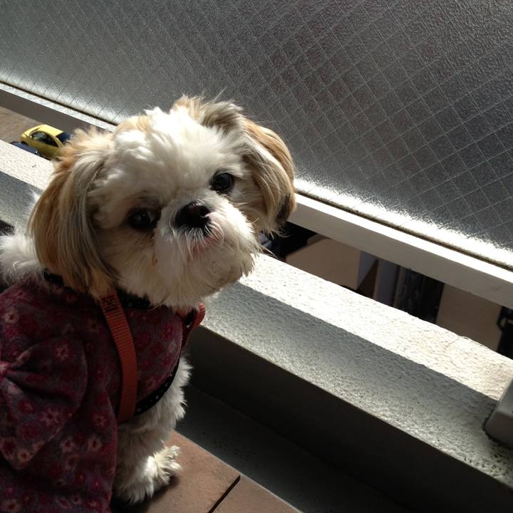 3fd8e68b 2c05 49eb 8cc7 d866c06bcae5