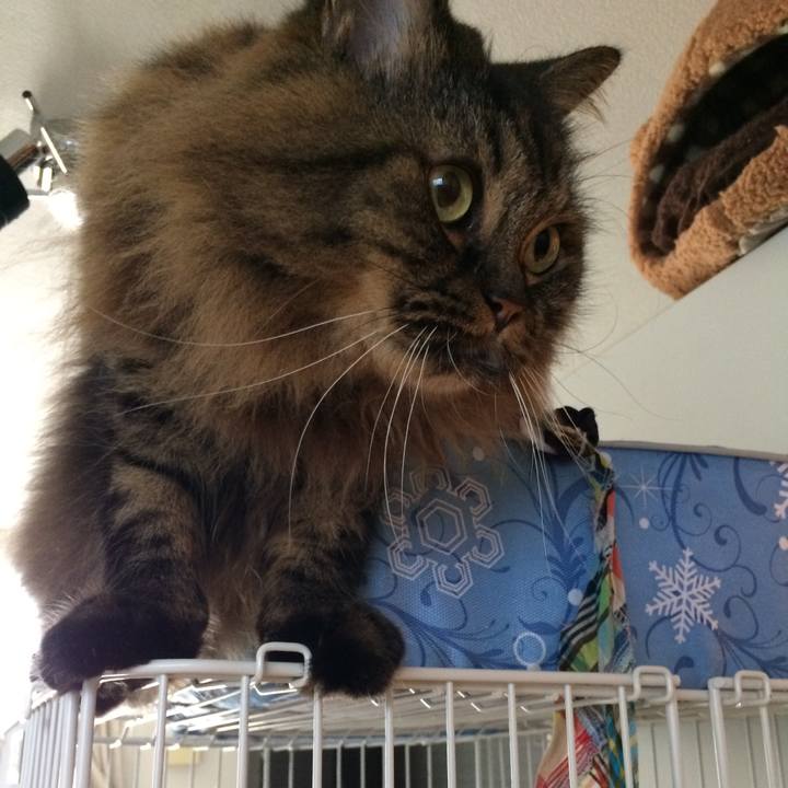 3fd93c47 82a9 4677 94b4 b5ea9fb9a4e7