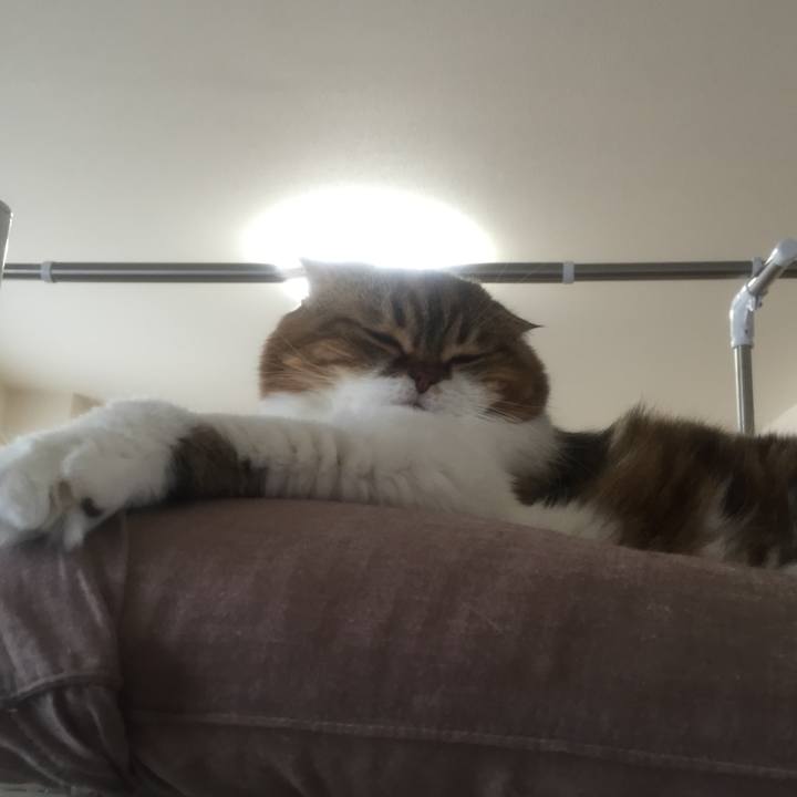 3fd996f8 3186 4db0 9a68 ff56e8da6156