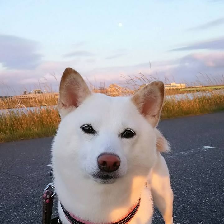 3fd9d1a7 49f8 46db ad34 1649acb3e4aa