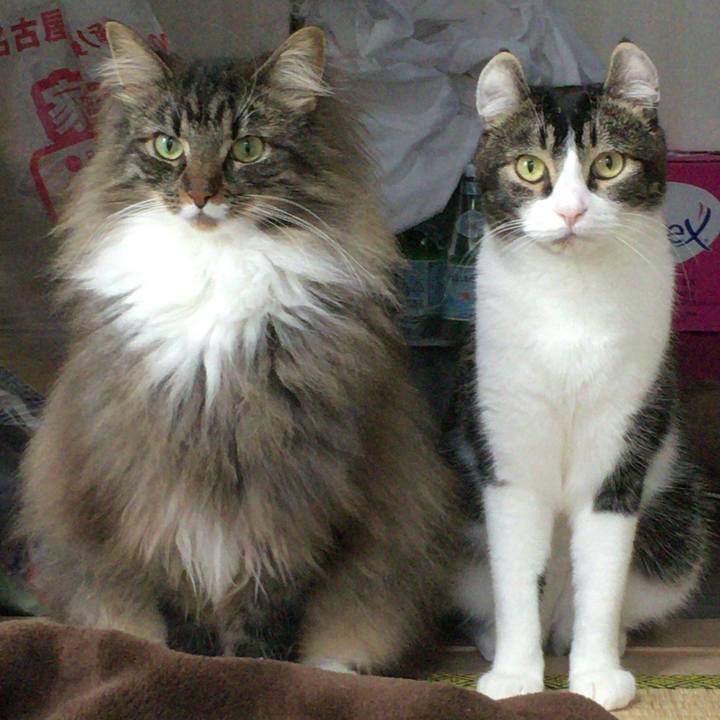 3fd9fd6d 0b89 4c59 9ab8 95e503155b84