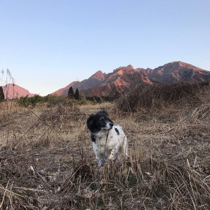 3fda663a 5a0f 4f28 a7be c4d18e43e6bf