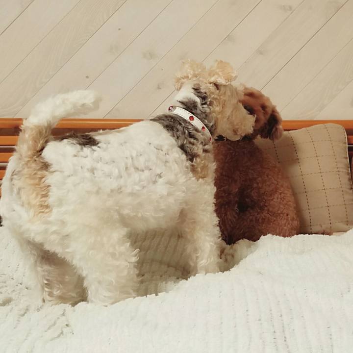 3fda8fef 0f4f 4d5f 82c4 516453f1463b