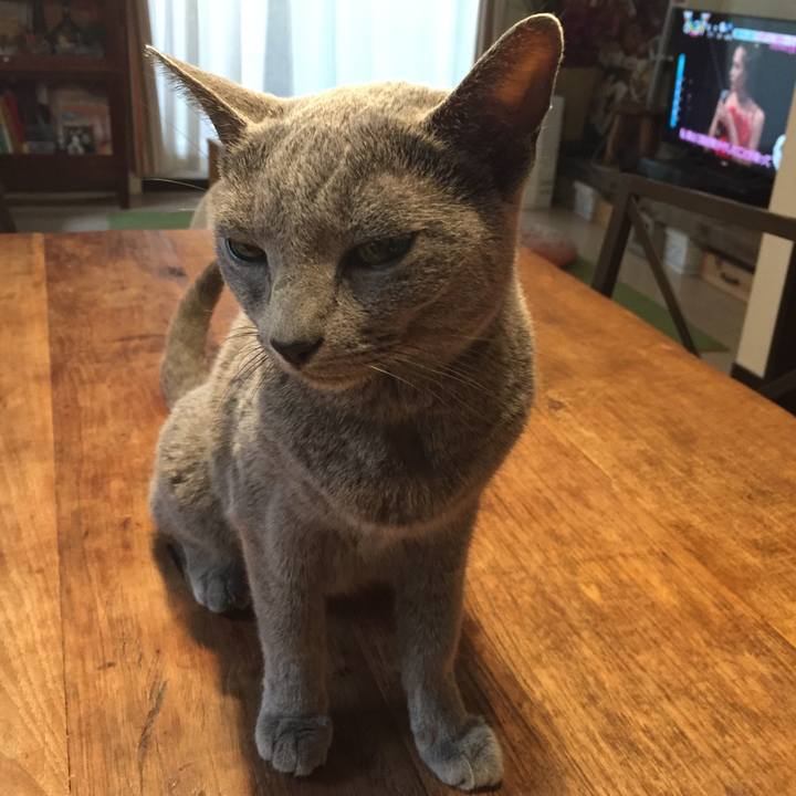 3fdb3446 ae9c 4b7e b4ef 15bd1d3df051