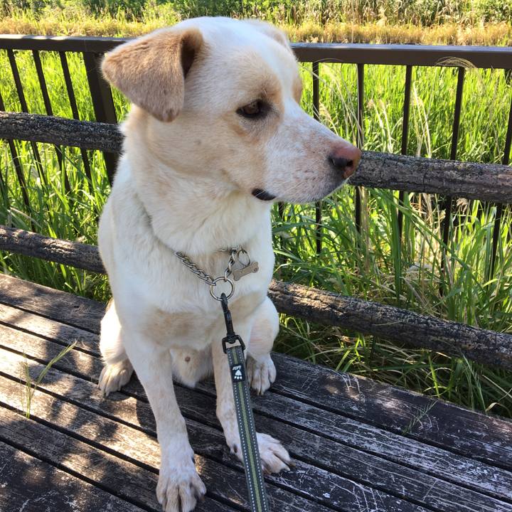 3fdb3bac 803a 4c5b b0c7 131e935d80b6