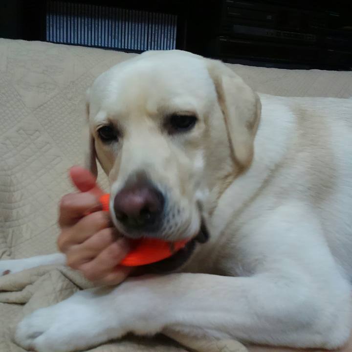 3fdb4e9c a0bb 423a 8873 4fbcf1bde29c