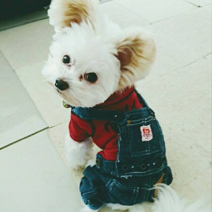 3fdb7e6e bcea 481b af78 86f94f94a5be