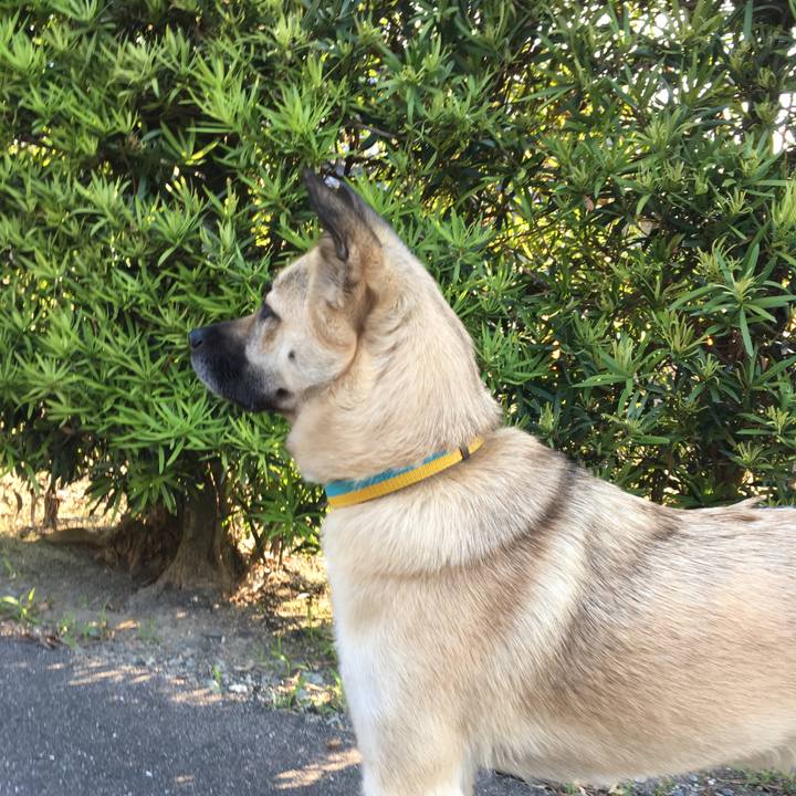 3fdbe9e2 b0f3 4eea 8424 0bbfe01bc3f0