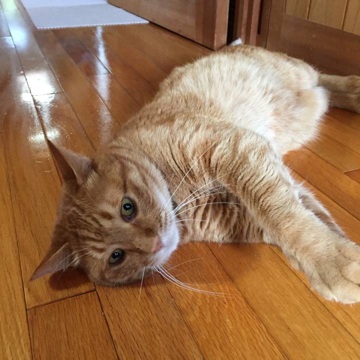 3fdbf665 210b 4a14 81e7 1bf8e24935d8