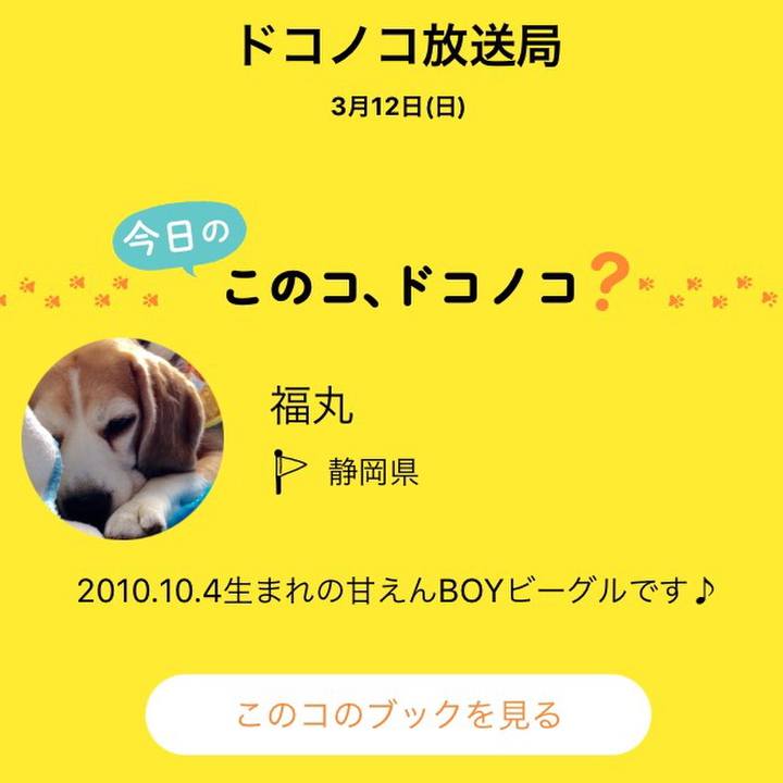 3fdc6d8e d539 45a5 bd17 d088a2f589df