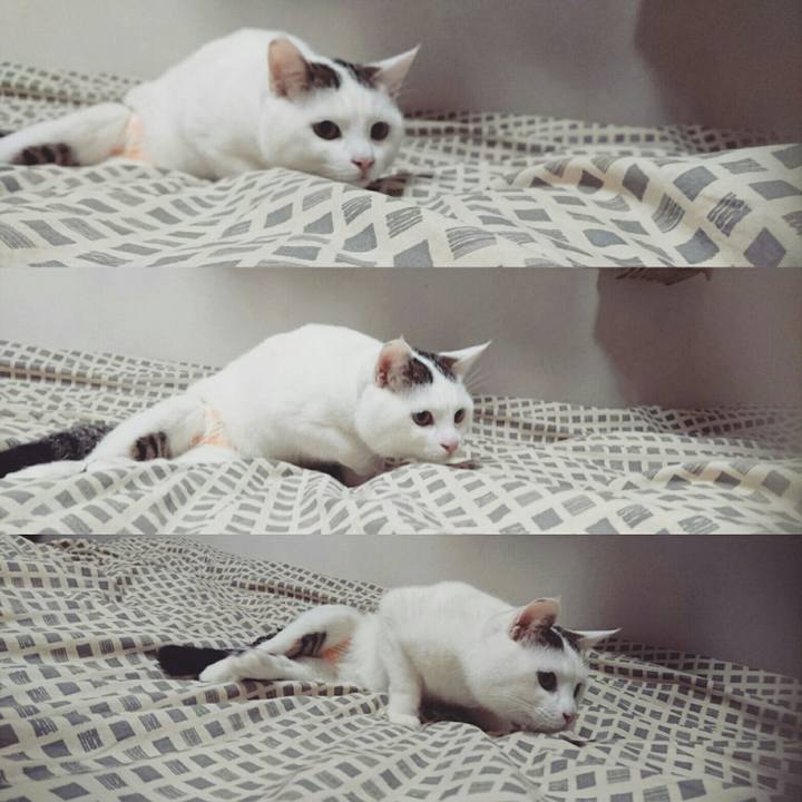 3fdc7f66 29a7 4a72 b30a 54130cb5f405