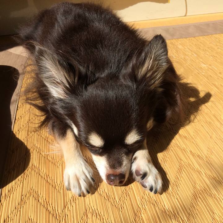 3fdc8ad9 eef6 4ab4 9bf9 7aadc0a4b766