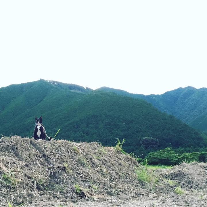 3fdd8de1 4887 481b 811e 0b77460ada14