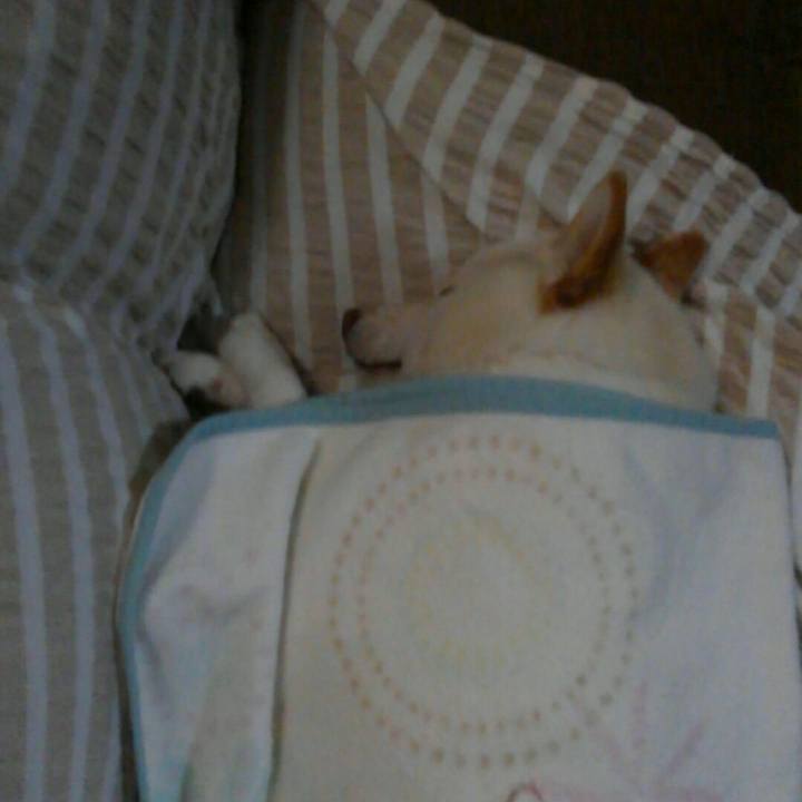 3fde7d46 6fc1 4501 9da9 23c5b37ff72b