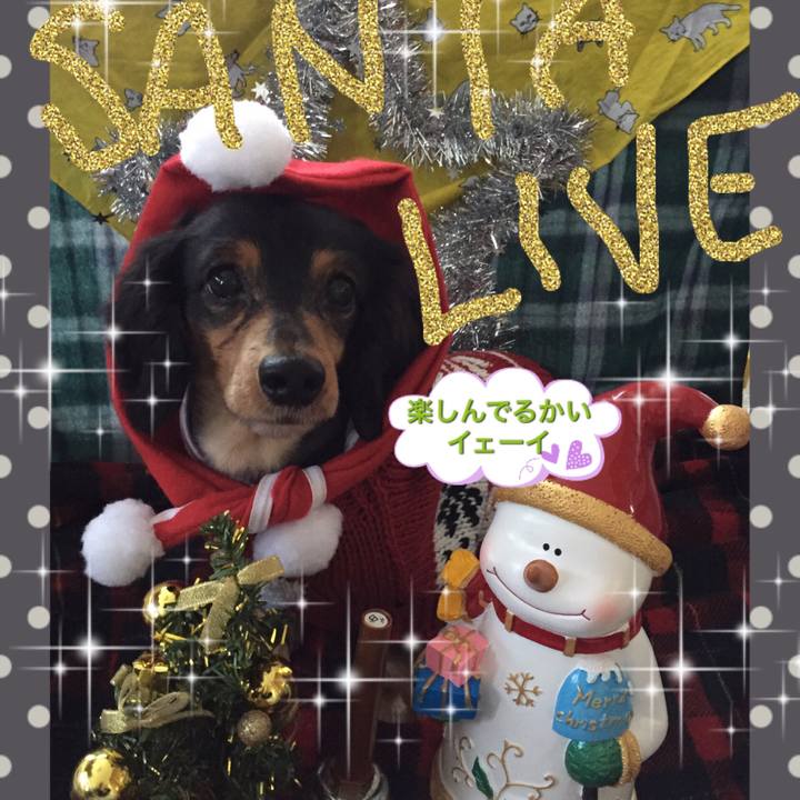 3fdedd61 7dcf 4df0 b62b 7450d5dbdba4