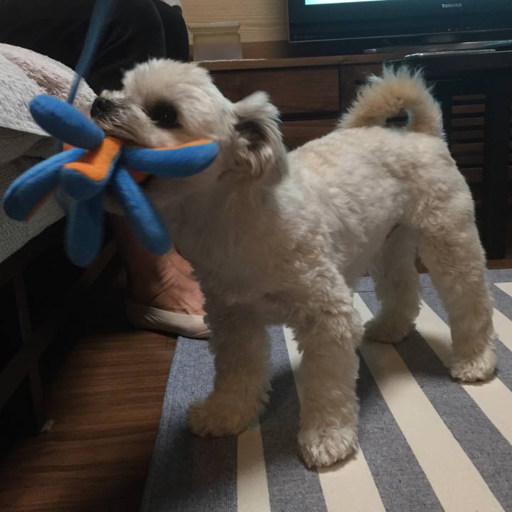 3fdff266 4307 43f7 a477 56a22f400e80