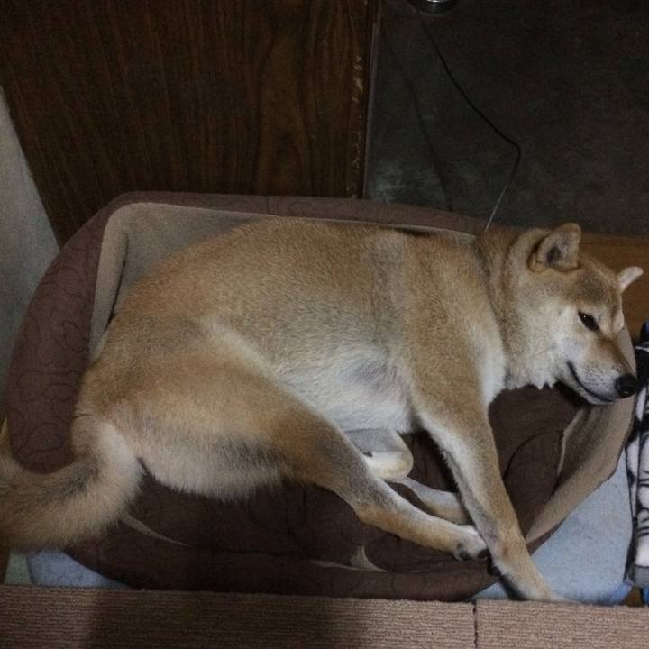 3fe030bb 861c 4d16 aec3 3f7c5e1d1263