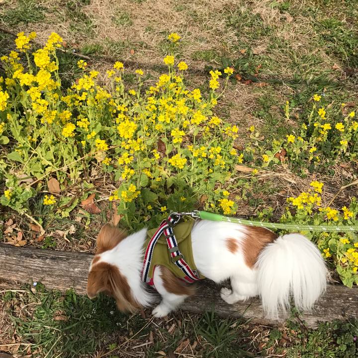 3fe1111b 6f56 4c3c 9b5c 3b6e90b11361