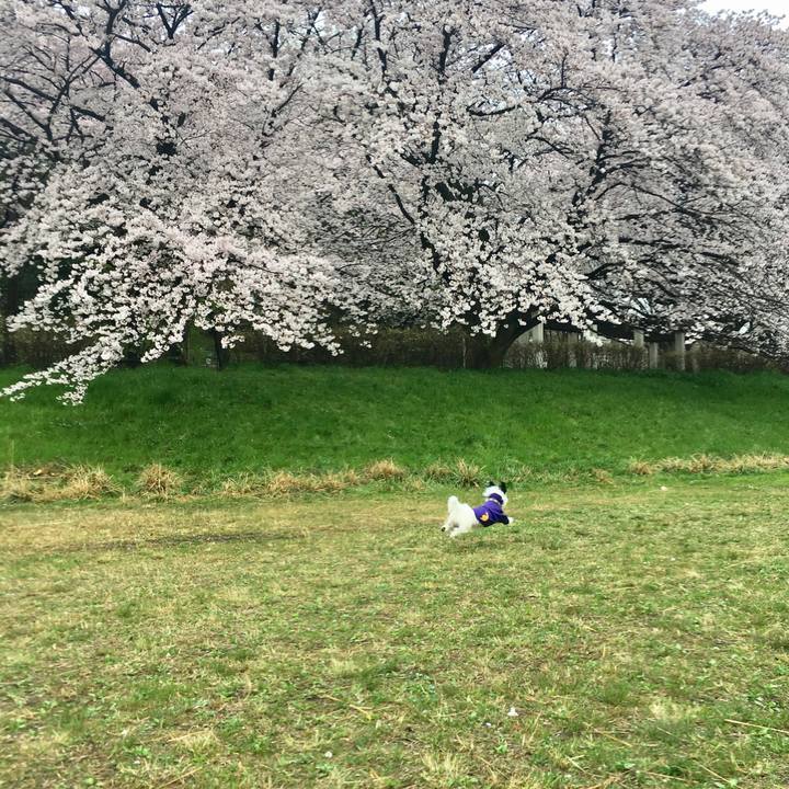 3fe1b1db 790c 46fc 9084 86ba81e12e87