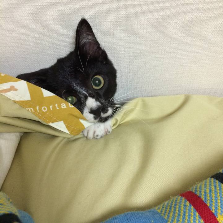 3fe23ac0 85c0 4a86 9e88 aa7de6ce738f