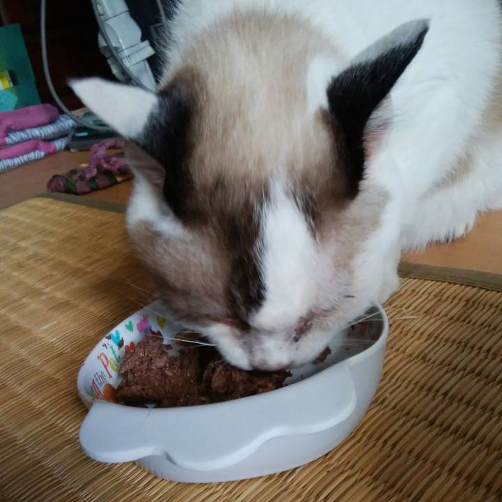 3fe27f5d 8300 42d0 883f f8f98e39f3f0