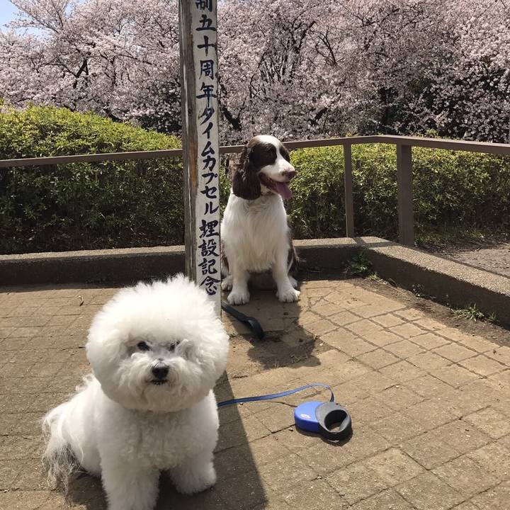 3fe2963b 14f7 4b6e a4b5 3a50547bf8bd