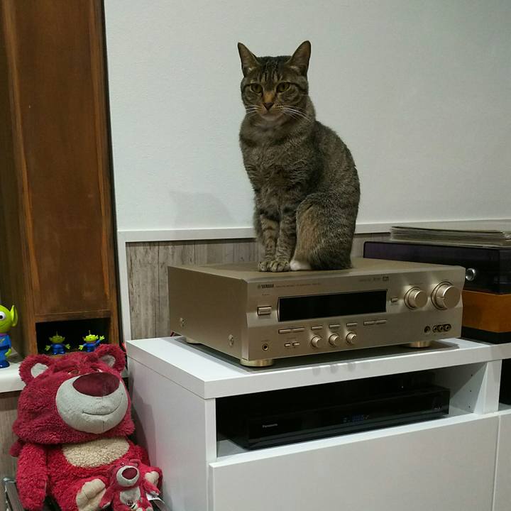 3fe29687 f1ac 4dde b68a 1fec212db9be