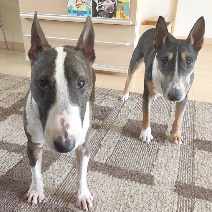 3fe29ffe a541 4ae7 8625 7476f07df7ed