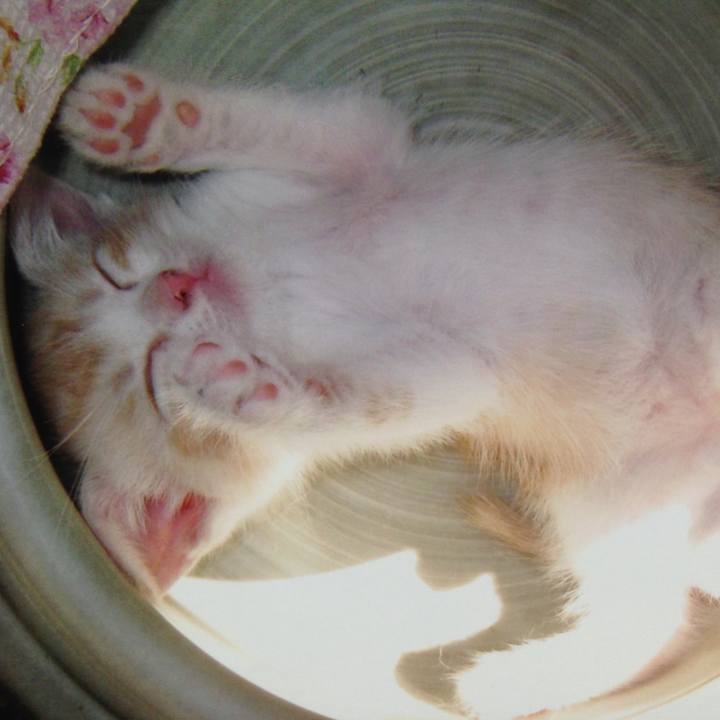 3fe33248 8127 4644 9102 e84e24259c47