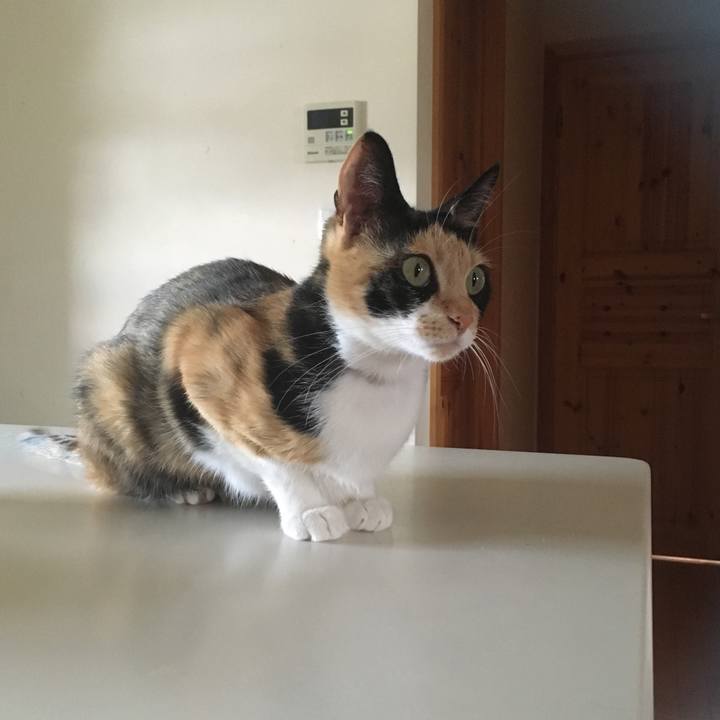 3fe33c46 8b1c 454d a42c 6679fc1a6846