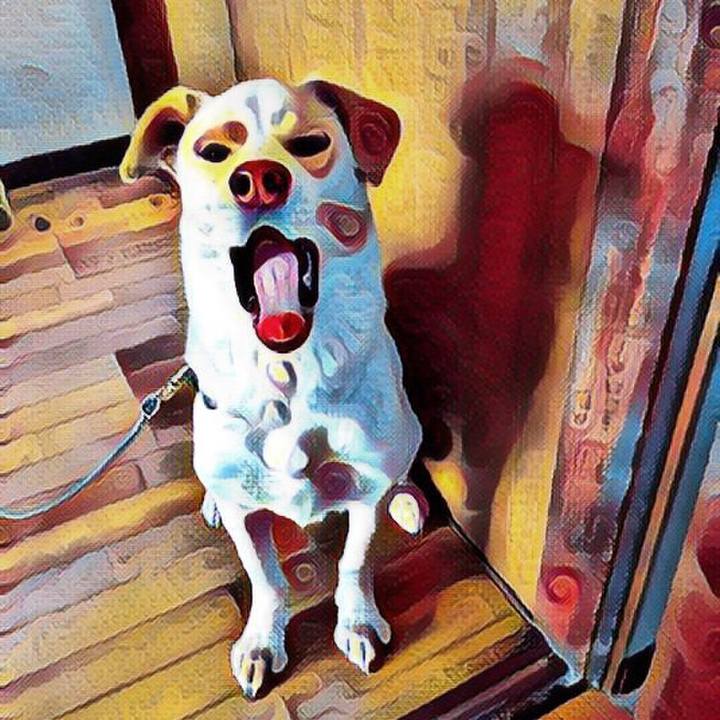 3fe38253 51db 4770 a571 27eb851e46c4