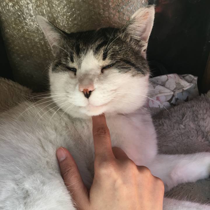 3fe3ba65 a566 4bee b81e b926ef9966c9