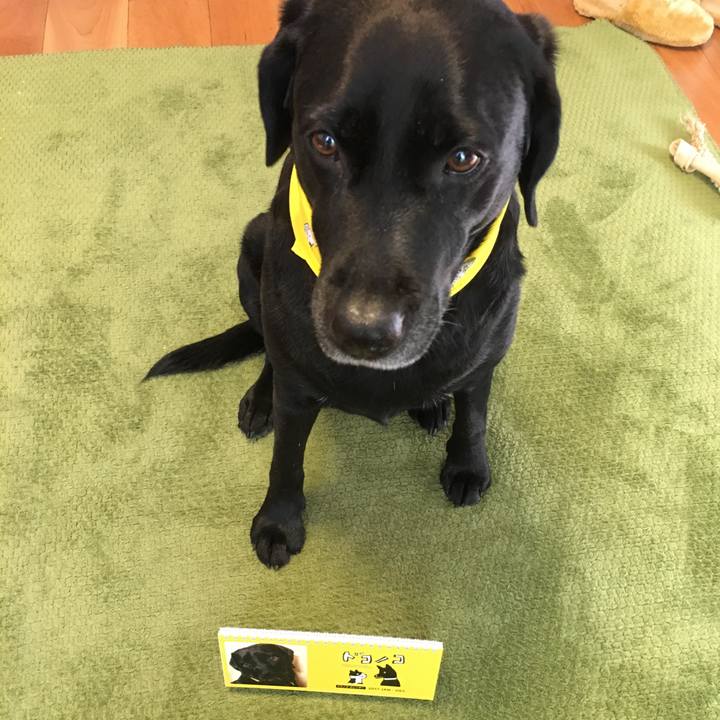 3fe4da30 2e61 4ce2 887a c77d3375d258