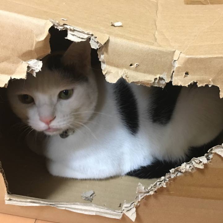 3fe51059 bfcb 46ea b170 30e427d742a1