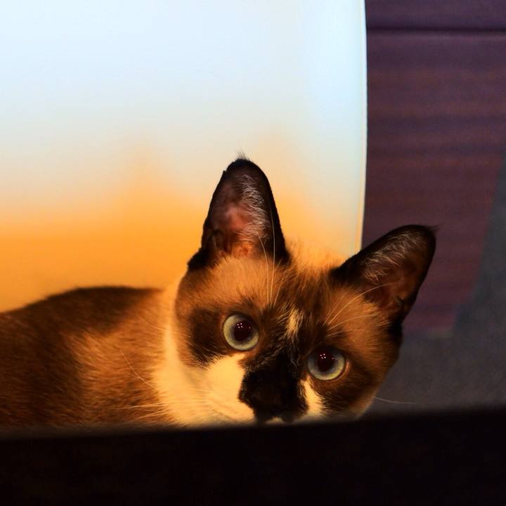 3fe5ba28 d59b 4295 b406 89e5f224dced