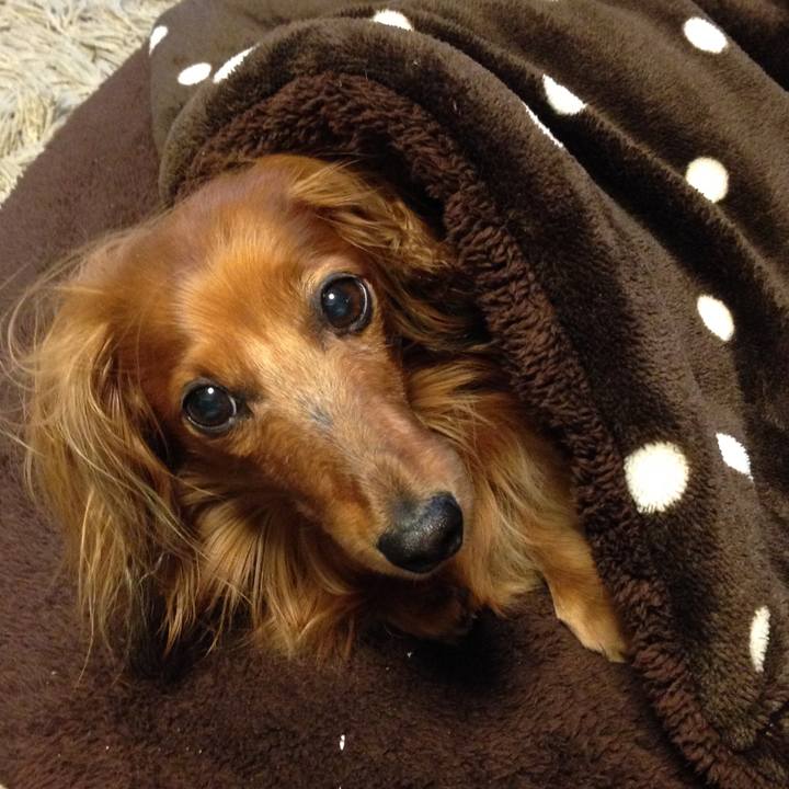 3fe5d349 f100 4371 b27e 8f1a53f0e93f