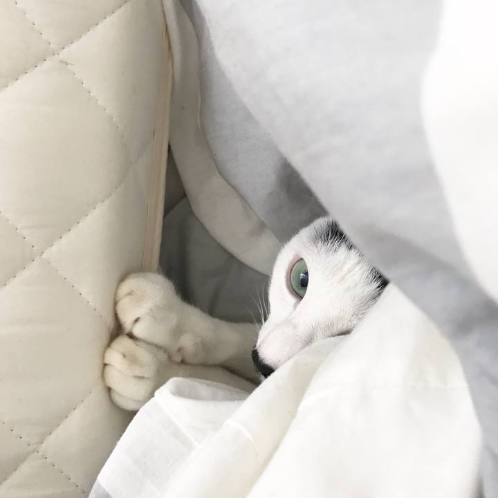 3fe5d706 30aa 4963 aa7b 32048eca6775