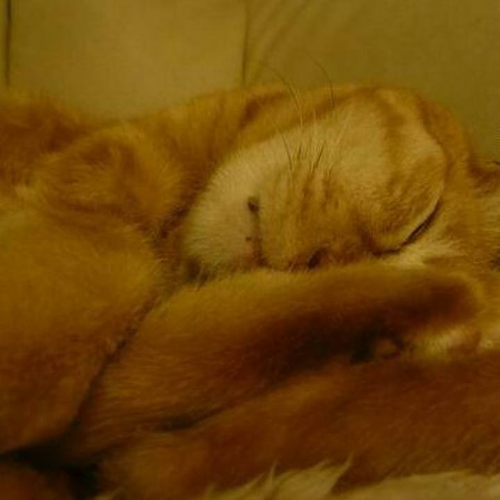 3fe67b0f cd98 4c16 9b63 368fc4371794