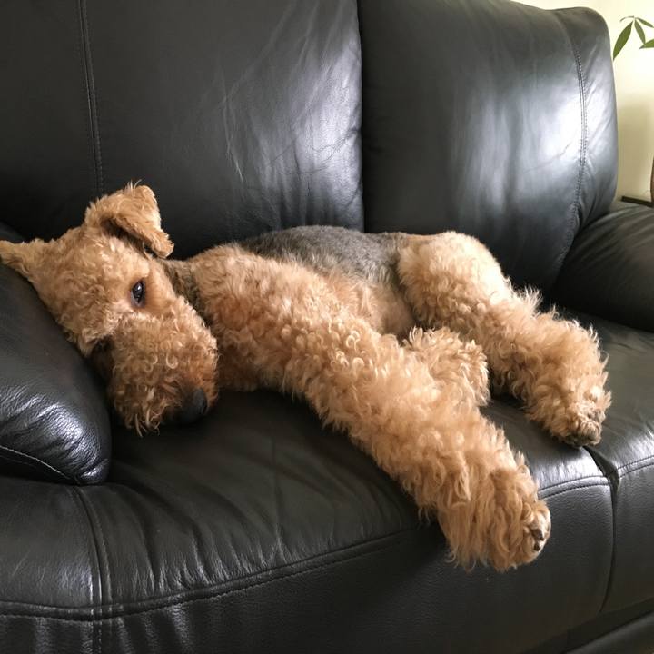 3fe68358 be77 4cba ac4b 6b733077fce6