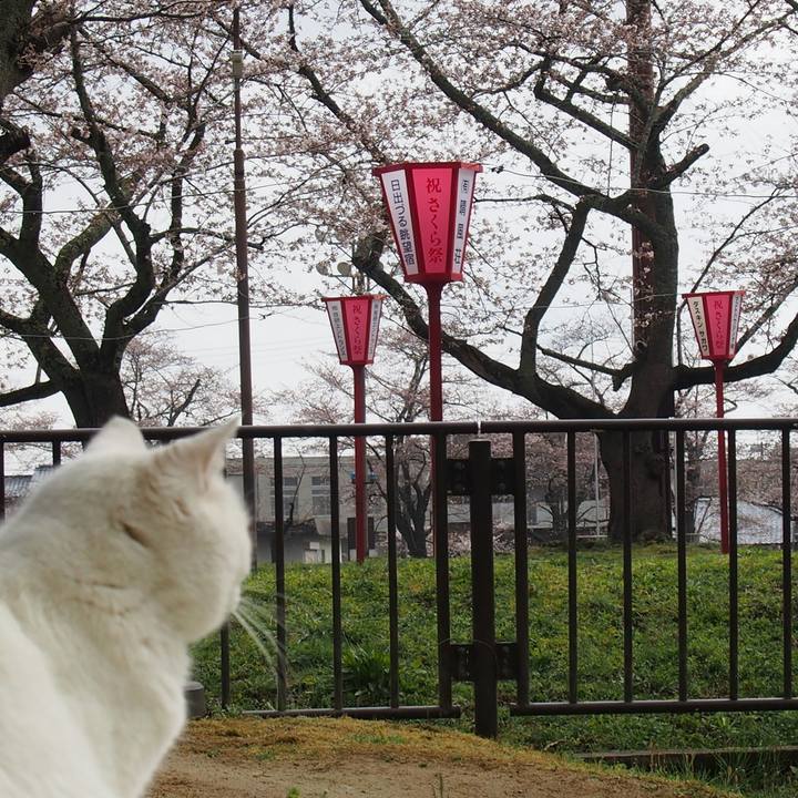 3fe784e5 acdf 4f1c 93e8 eca793f1f2a2