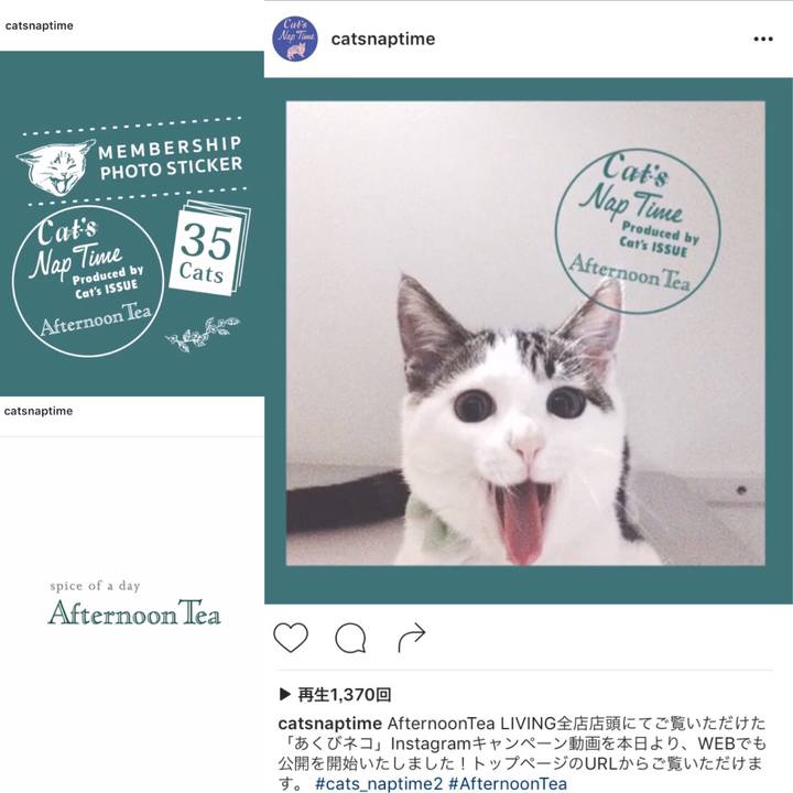 3fe8418d b707 49b6 8d99 648e736761a1