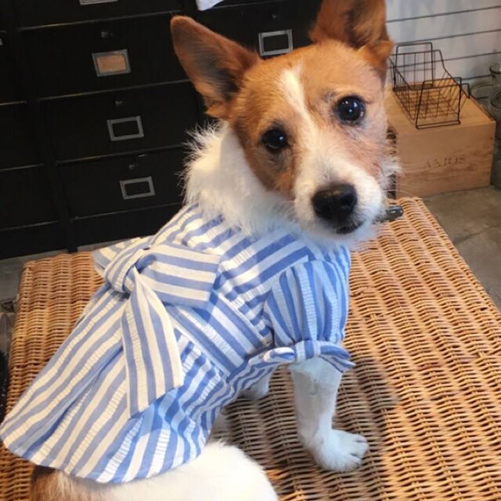 3fe88626 3475 449c a54c ff25e343cf28