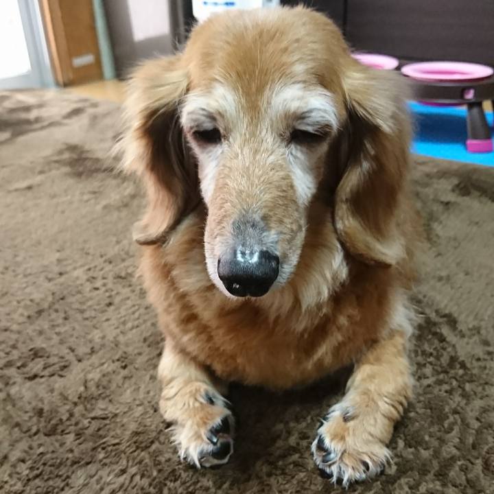 3fe8a79e 288d 43a2 9fec b7586346be48