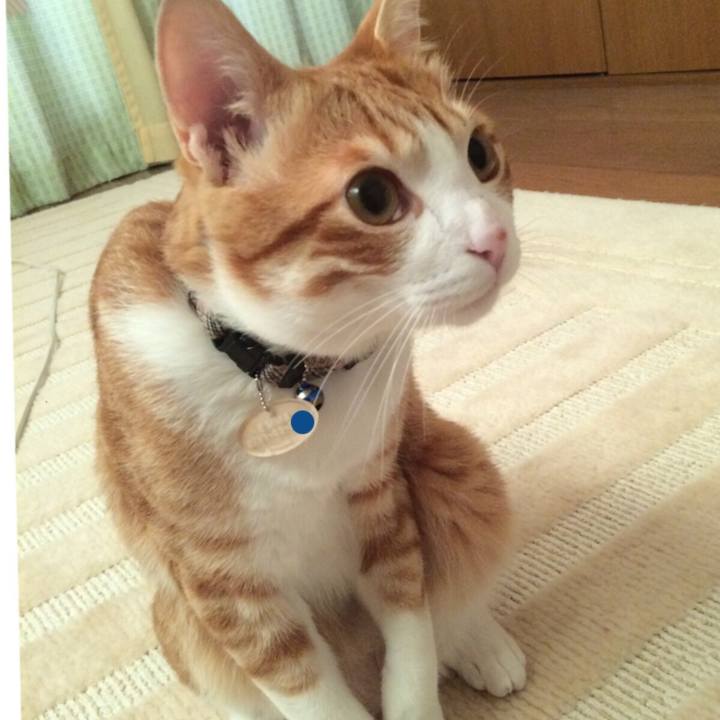 3fe94914 1ea0 4081 8a3c 8cc4c3939f86