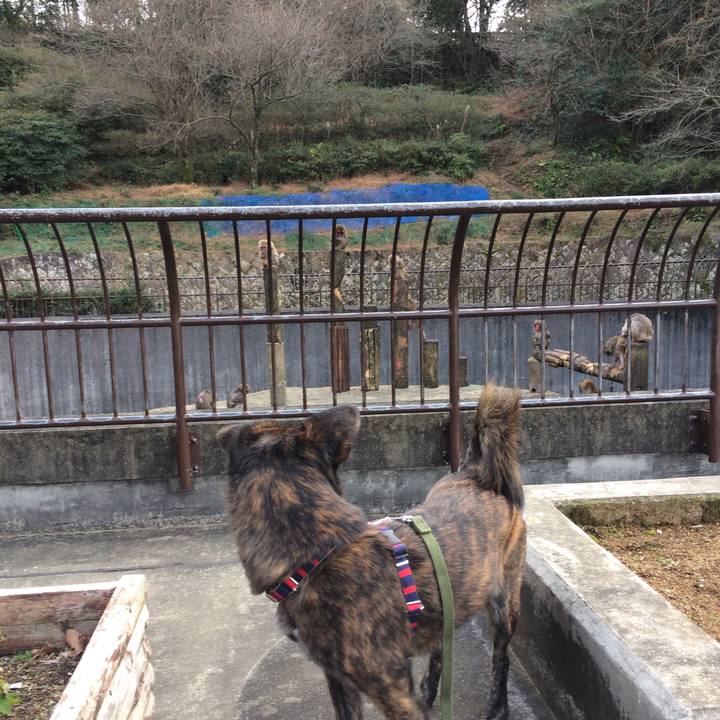 3fe976b0 27ed 41b8 a9cc a9f6b3cbec0f