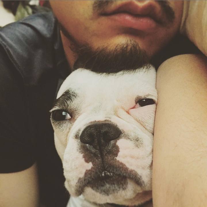 3fea04bc 851d 4f4d 9bc3 dde8ad49323c